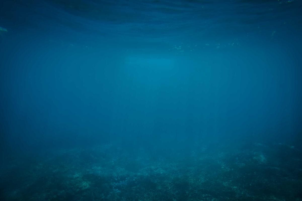 Digital Transformation for African Safari Companies: Moving from PDF Itineraries to Interactive Web